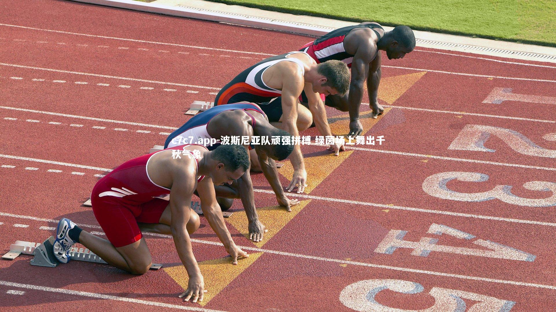 波斯尼亚队顽强拼搏 绿茵场上舞出千秋气象